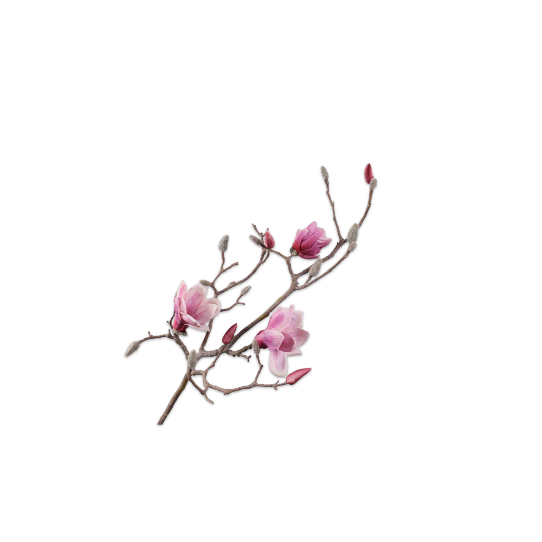 Magnolia Spray Purple by Silk-Ka