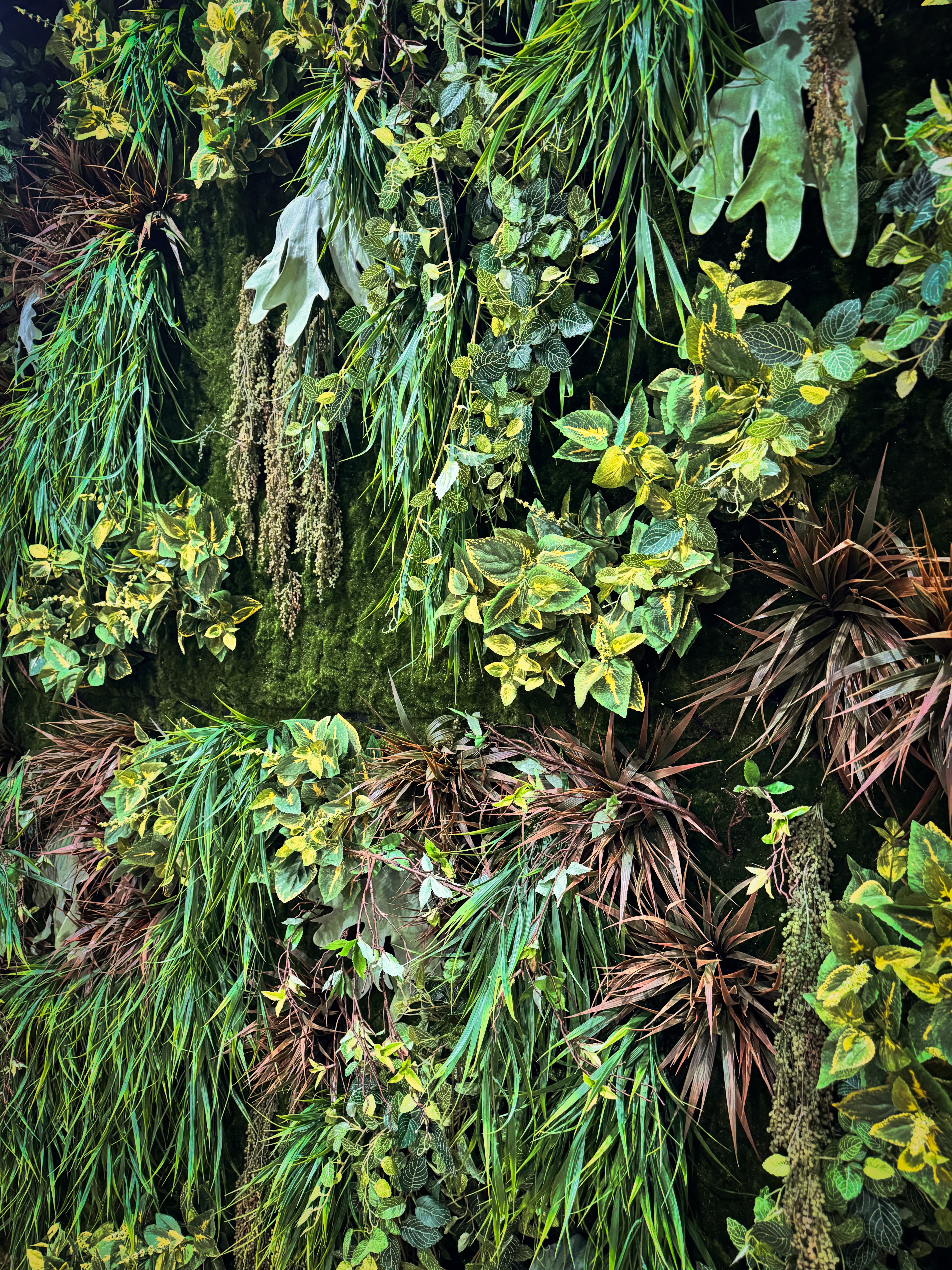 Cascade Garden by Capital Garden
