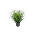 Round Onion Grass Green by Capital Garden