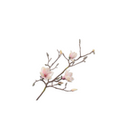 Magnolia Spray Cream by Silk-Ka