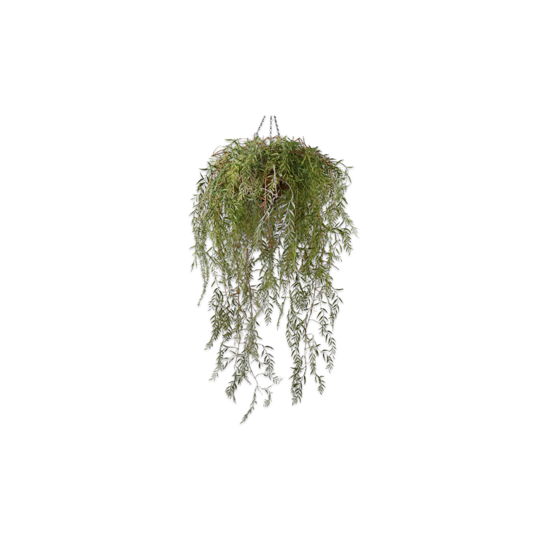 Hanging Plant Green by Silk-ka