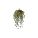 Hanging Plant Green by Silk-ka