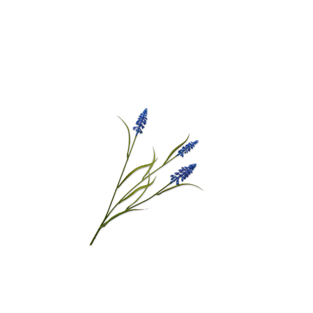 Muscali Spray Blue by Silk-Ka