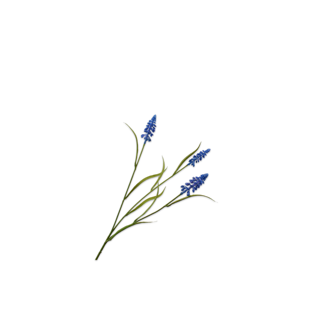 Muscali Spray Blue by Silk-Ka