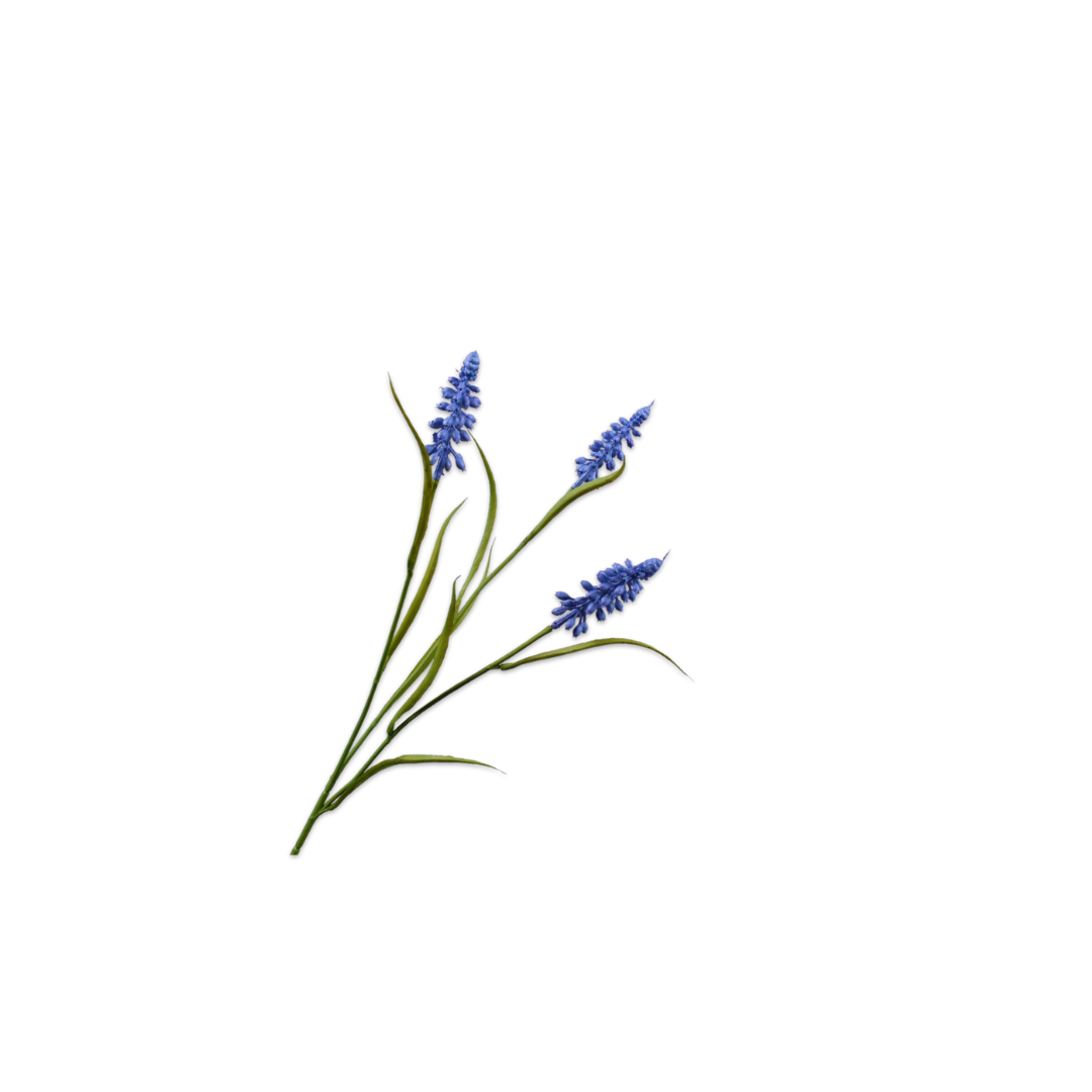 Muscali Spray Light Blue by Silk-Ka