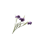 Fritillia Spray Purple by Silk-Ka