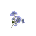 Hydragenea Spray Blue by Silk-Ka