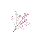Thalictrum Spray Pink by Silk-ka