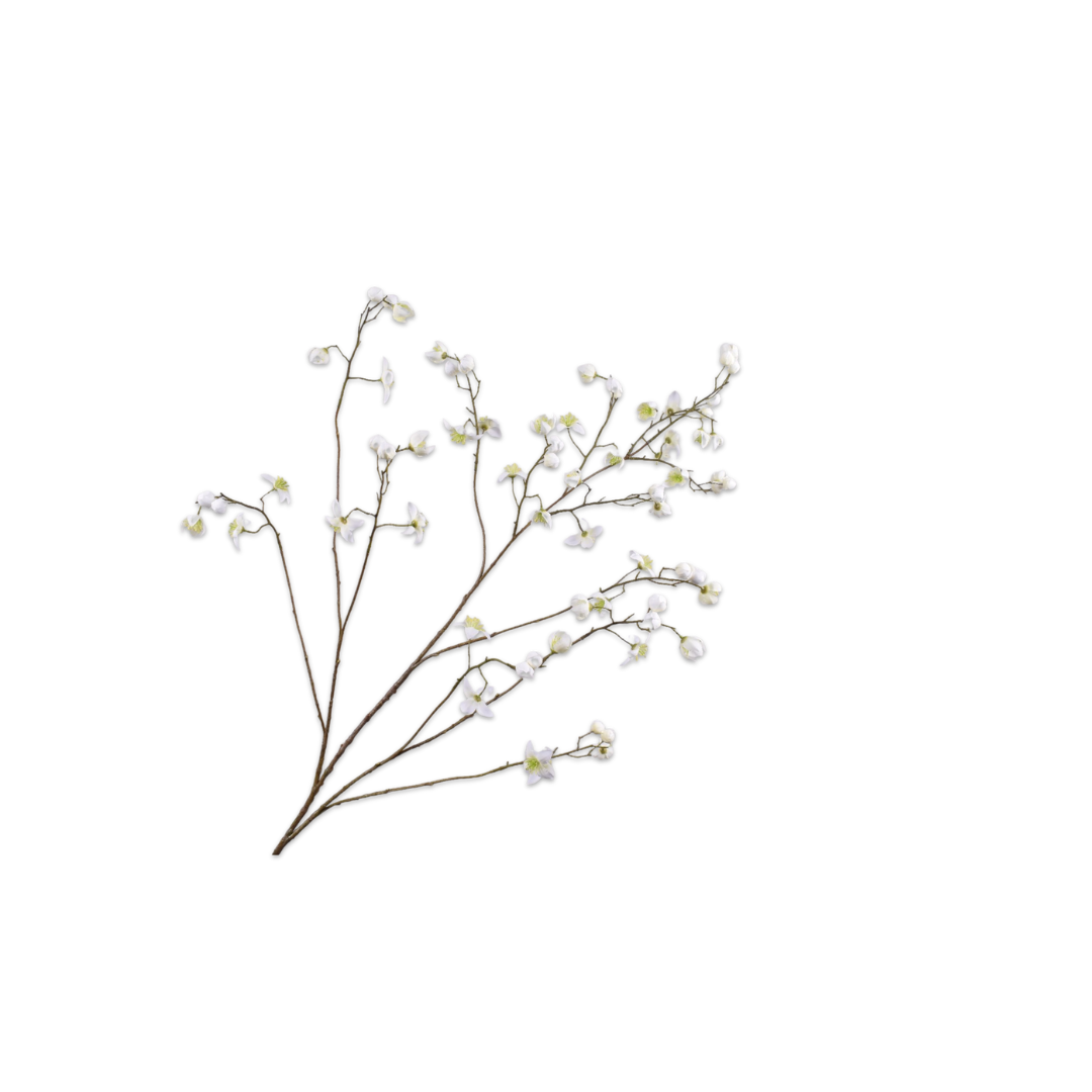 Thalictrum Spray Cream by Silk-ka