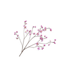 Thalictrum Spray Magenta by Silk-Ka