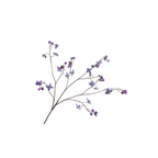 Thalictrum Spray Purple by Silk-ka