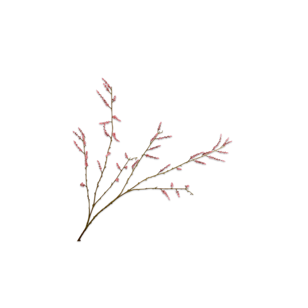 Willow Branch Pink by Silk-ka