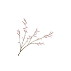 Willow Branch Pink by Silk-ka