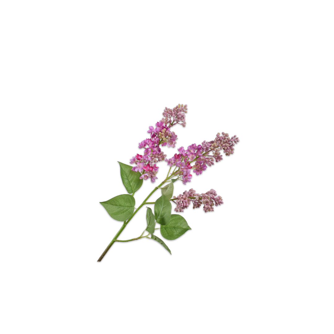 Lilac Spray Dark Pink by Silk-ka