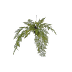 Asparagus Hanging Plant by Silk-ka