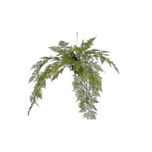 Asparagus Hanging Plant by Silk-ka