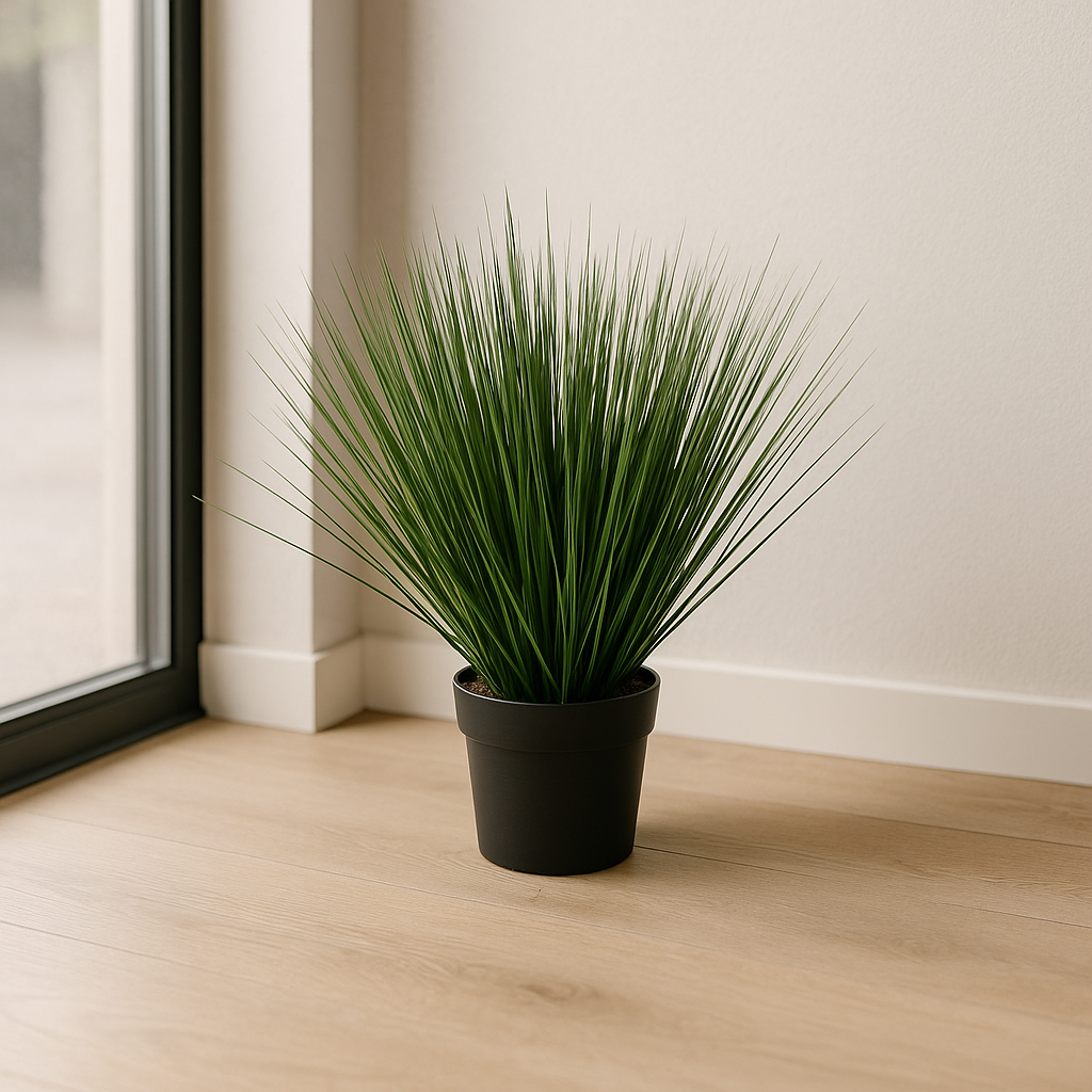 Round Onion Grass Green by Capital Garden