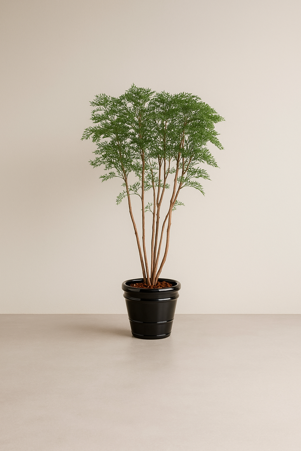American Willow Tree by Capital Garden