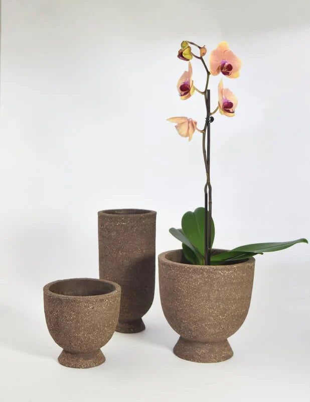 Terra Saucer Flower Vase by AYTM