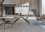 Lucrezia Dining Chair by Bontempi