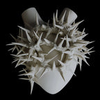 Spinae Porcelain Heart by Elica