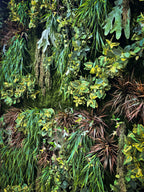 Cascade Garden by Capital Garden