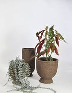 Terra Saucer Flower Vase by AYTM