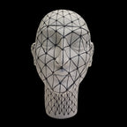 Reticulum Small Head by Elica