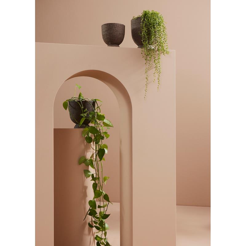 Terra Saucer Flower Vase by AYTM